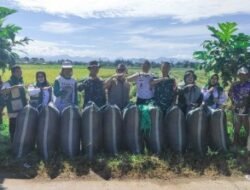 Sinergi TNI dan Petani, Kodim 1426 Takalar Gelar Panen Raya di Pattalassang