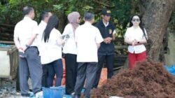 Takalar Bikin China Melirik! Lawi-Lawi Punaga Disebut Terbaik Dunia