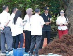 Takalar Bikin China Melirik! Lawi-Lawi Punaga Disebut Terbaik Dunia