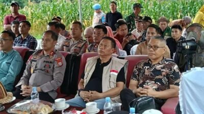 Dukung Program ASTACITA Presiden, Pemda Takalar Hadiri Panen Raya Jagung Serentak