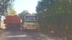 Aktivitas Tambang Pasir Diduga Ilegal di Paddingin Disorot, Warga Minta APH Turun Tangan