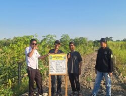 Pendamping Desa Polombangkeng Selatan Bersama BPD Laksanakan Monitoring Pembangunan Jalan Usaha Tani